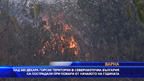 Над 600 декара горски територии в Североизточна България са пострадали от пожари от началото на годината